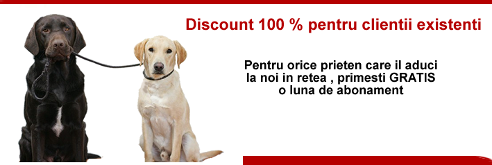 Discount 100 %